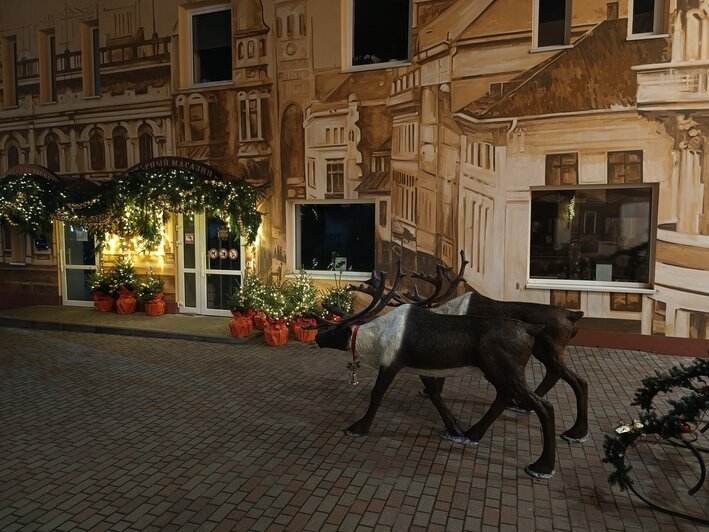 Километры гирлянд, ёлки и парад планет: 4 города в Калининградской области, где уже ждут Новый год (фото, видео)   - Новости Калининграда | Фото: &quot;Подслушано Янтарный&quot; ВКонтакте