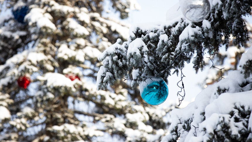 Ярмарка, море и Леонид Филатов: 6 бесплатных мероприятий в первый уикенд декабря - Новости Калининграда | Фото: архив «Клопс»