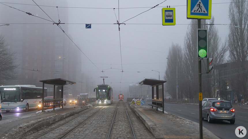 Погода в Калининграде и области в четверг - Новости Калининграда | Фото: Александр Подгорчук / «Клопс»