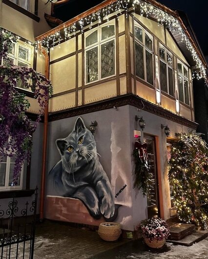 Километры гирлянд, ёлки и парад планет: 4 города в Калининградской области, где уже ждут Новый год (фото, видео)   - Новости Калининграда | Фото: &quot;Я люблю Зеленоградск&quot;ВКонтакте