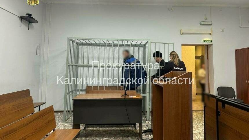 Под Калининградом оперативник приехал задерживать возможного грабителя — и попал под горячую руку - Новости Калининграда | Фото: пресс-служба прокуратуры Калининградской области