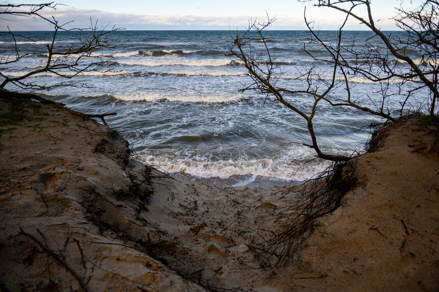 Балтийский ветер остаётся главным предсказателем: если он тёплый и влажный — готовьтесь к мягкой зиме, если сухой и резкий — зима обещает быть настоящей. | Фото: Александр Мелехов