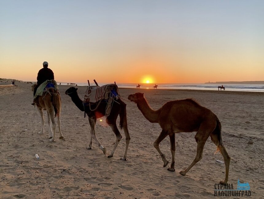 Сорванный отпуск в Египет удалось компенсировать. | Фото: Оксана Сазонова