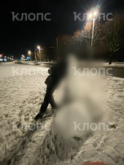 Авторами непристойной стелы на Моспроспекте оказались подростки, они намерены слепить пошлого Горыныча  - Новости Калининграда | Фото: очевидец 