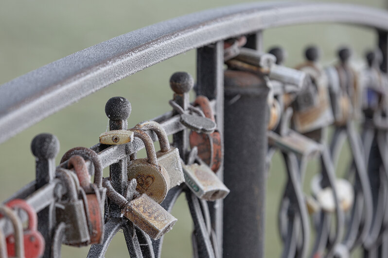Свет сквозь пелену: в затянутом туманом Калининграде начали устанавливать первую новогоднюю ёлку (фоторепортаж) - Новости Калининграда | Фото: Александр Подгорчук / «Клопс»