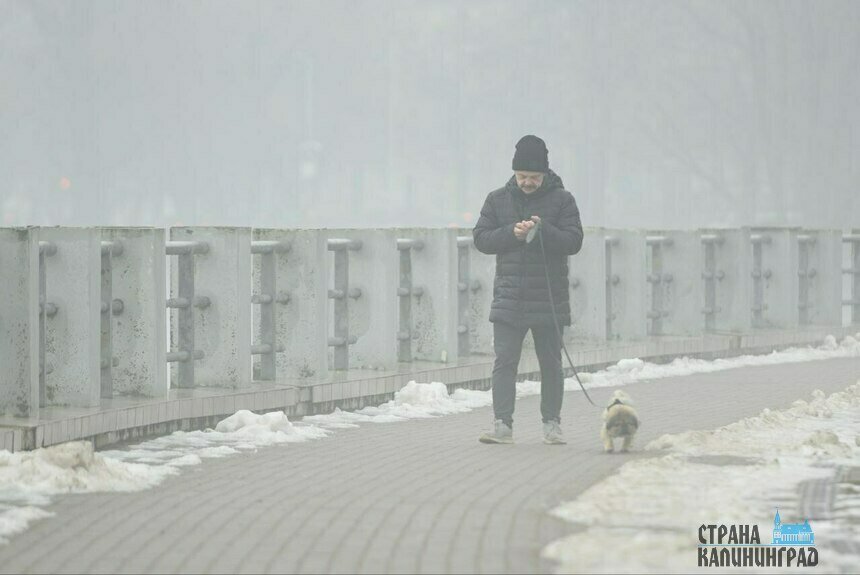 В Калининграде туман | Фото: архив «СК»