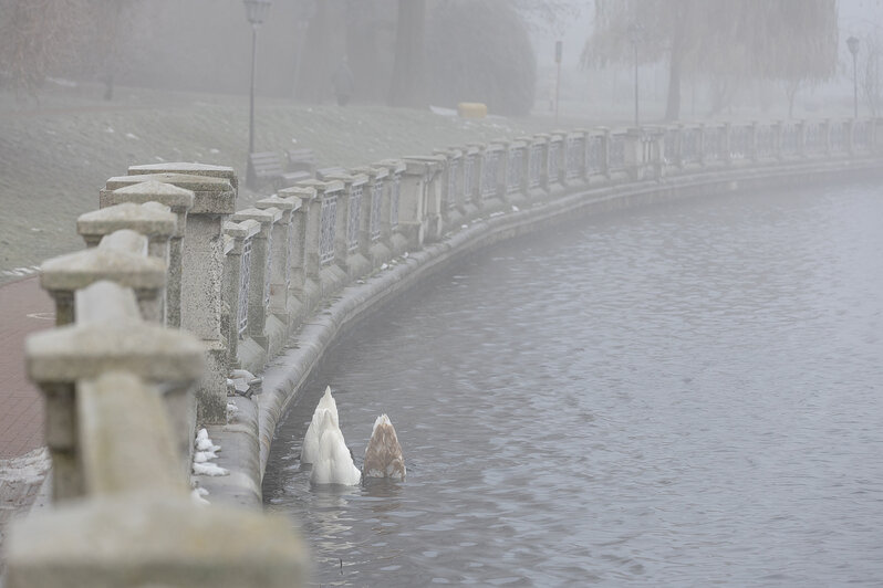 Свет сквозь пелену: в затянутом туманом Калининграде начали устанавливать первую новогоднюю ёлку (фоторепортаж) - Новости Калининграда | Фото: Александр Подгорчук / «Клопс»