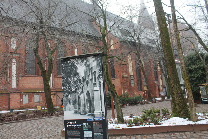 Где в Калининграде найти следы яркого мистика XVIII века, подарившего миру символ Рождества и Нового года  - Новости Калининграда | Фото: Алёна Михайлова