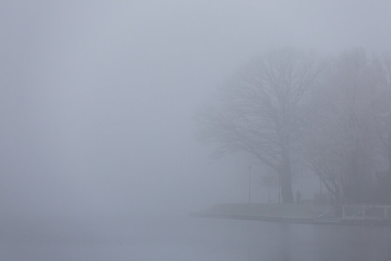 Свет сквозь пелену: в затянутом туманом Калининграде начали устанавливать первую новогоднюю ёлку (фоторепортаж) - Новости Калининграда | Фото: Александр Подгорчук / «Клопс»