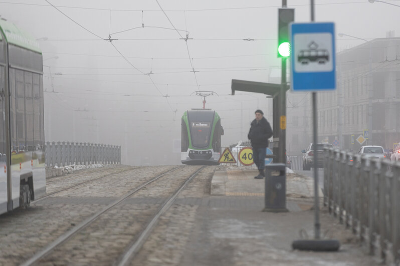 Свет сквозь пелену: в затянутом туманом Калининграде начали устанавливать первую новогоднюю ёлку (фоторепортаж) - Новости Калининграда | Фото: Александр Подгорчук / «Клопс»
