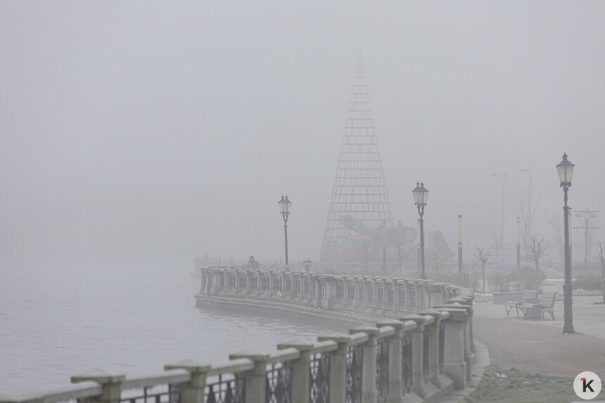 Фото дня: установка ёлки на Верхнем озере в туманном Калининграде - Новости Калининграда | Фото: Александр Подгорчук / «Клопс»