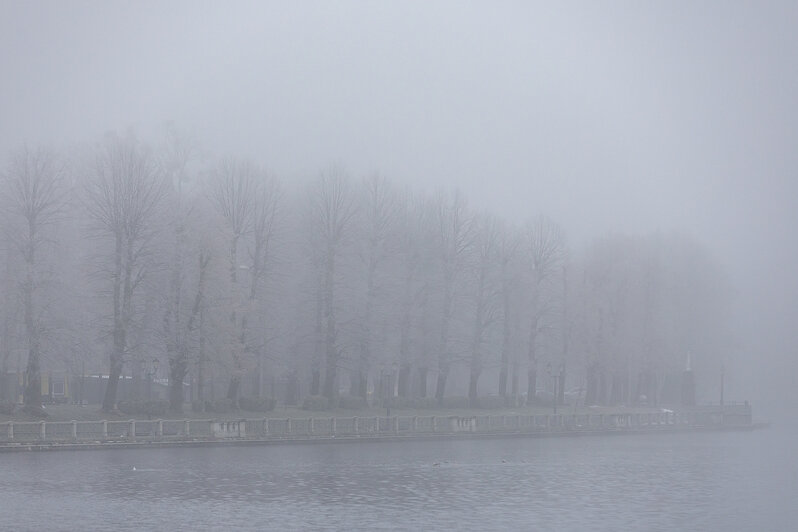 Свет сквозь пелену: в затянутом туманом Калининграде начали устанавливать первую новогоднюю ёлку (фоторепортаж) - Новости Калининграда | Фото: Александр Подгорчук / «Клопс»