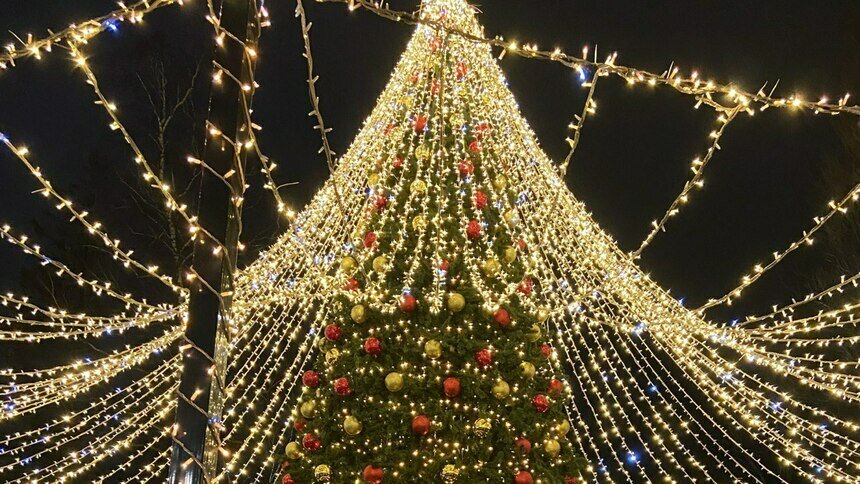 «Россети Янтарь Энергосбыт» объявляет акцию по списанию пени - Новости Калининграда