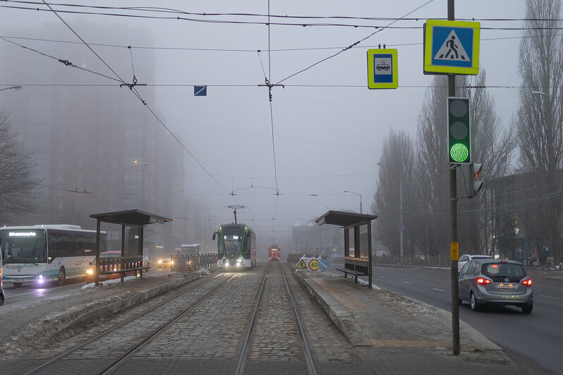 Свет сквозь пелену: в затянутом туманом Калининграде начали устанавливать первую новогоднюю ёлку (фоторепортаж) - Новости Калининграда | Фото: Александр Подгорчук / «Клопс»