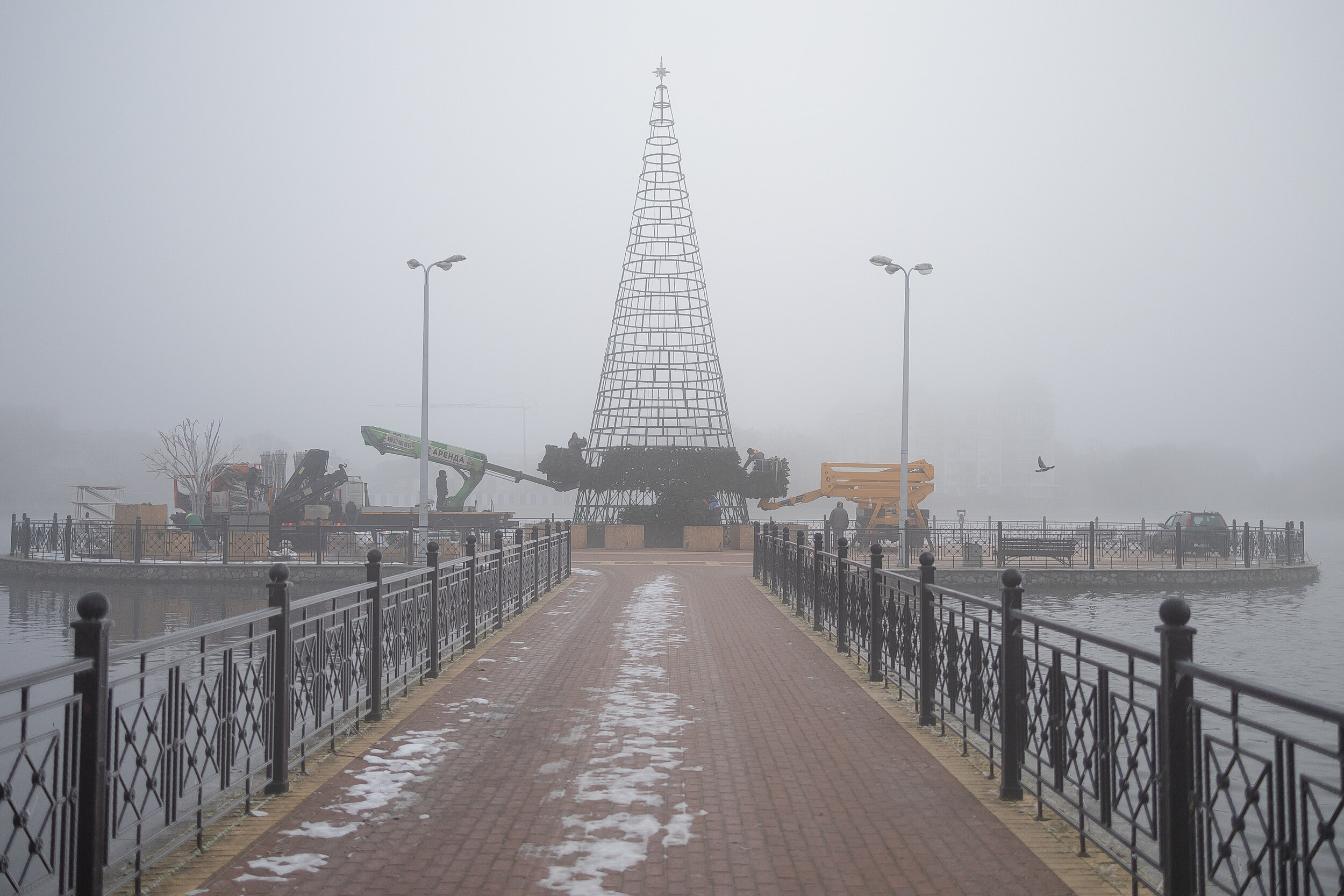 Свет сквозь пелену: в затянутом туманом Калининграде начали устанавливать первую новогоднюю ёлку (фоторепортаж) - Новости Калининграда | Фото: Александр Подгорчук / «Клопс»