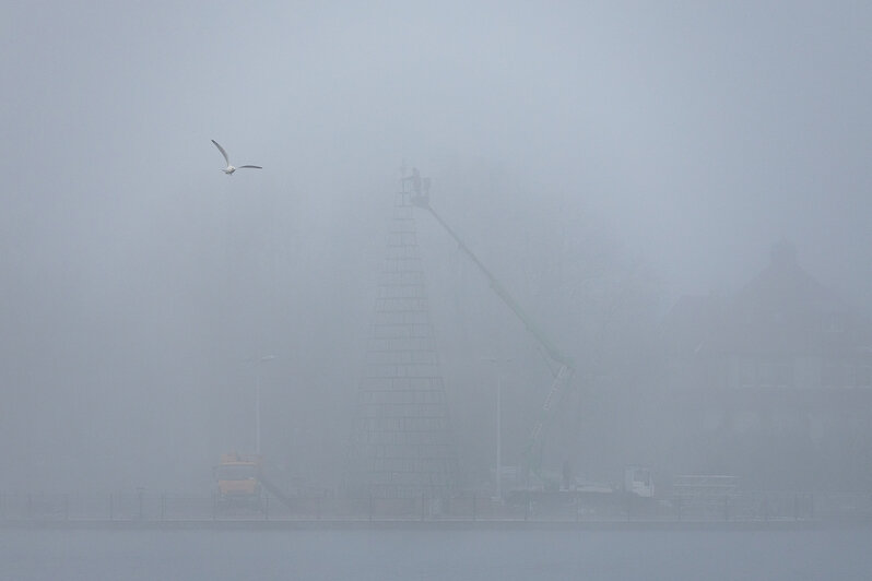 Свет сквозь пелену: в затянутом туманом Калининграде начали устанавливать первую новогоднюю ёлку (фоторепортаж) - Новости Калининграда | Фото: Александр Подгорчук / «Клопс»