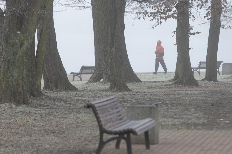 Свет сквозь пелену: в затянутом туманом Калининграде начали устанавливать первую новогоднюю ёлку (фоторепортаж) - Новости Калининграда | Фото: Александр Подгорчук / «Клопс»