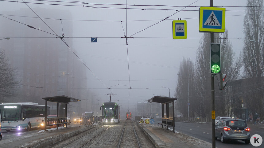 Матвиенко лично лоббирует средства на калининградский трамвай — сенатор Шендерюк-Жидков   - Новости Калининграда | Фото: Александр Подгорчук / «Клопс»