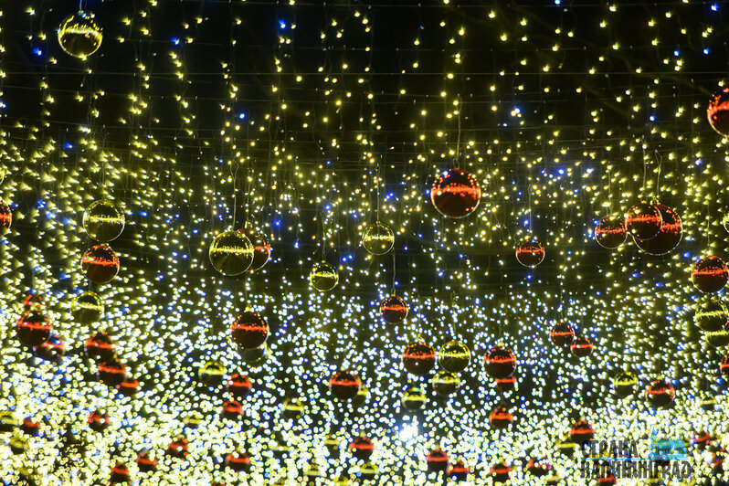 Светлогорск или Зеленоградск — чей черёд блистать? (фото)