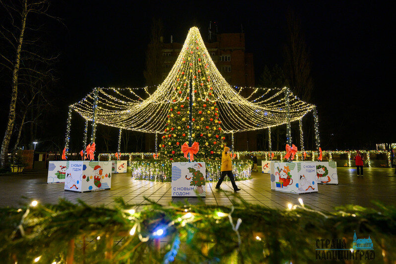 Светлогорск или Зеленоградск — чей черёд блистать? (фото)