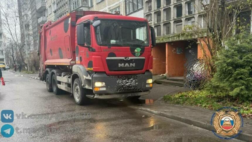 В Калининграде водитель мусоровоза сбил пешехода - Новости Калининграда | Фото: ГАИ