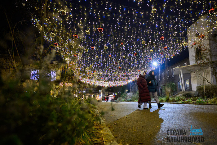 Светлогорск или Зеленоградск — чей черёд блистать? (фото)