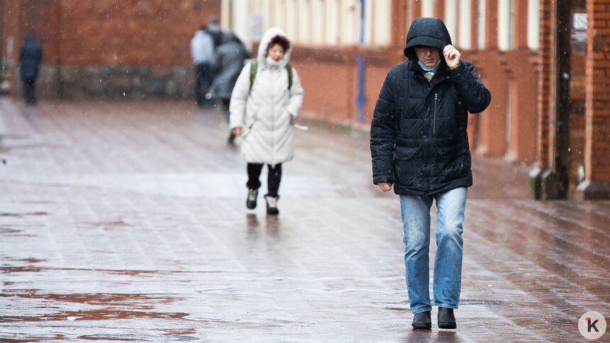 Синоптики рассказали, будет ли дождь в Калининграде и области в понедельник, 8 декабря  - Новости Калининграда | Фото: Александр Подгорчук / Архив «Клопс»