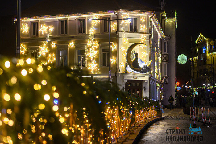 Светлогорск или Зеленоградск — чей черёд блистать? (фото)