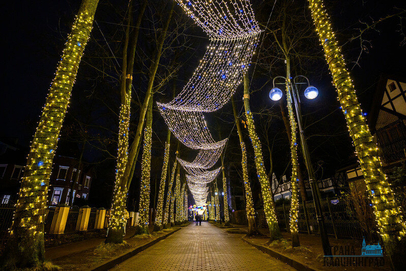 Светлогорск или Зеленоградск — чей черёд блистать? (фото)