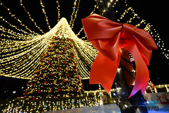 Светлогорск или Зеленоградск — чей черёд блистать? (фото)