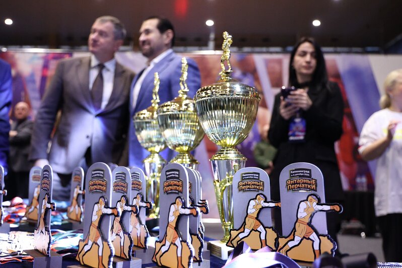 Николай Валуев прилетел в Калининград на открытие международного боксёрского турнира «Янтарные перчатки» - Новости Калининграда | Фото: администрация Калининграда 