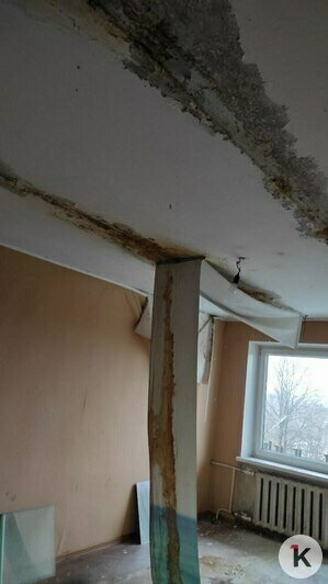 Три года под дождём: в Багратионовском округе не могут починить крышу пятиэтажки после урагана (фото)   - Новости Калининграда | Фото: Татьяна 