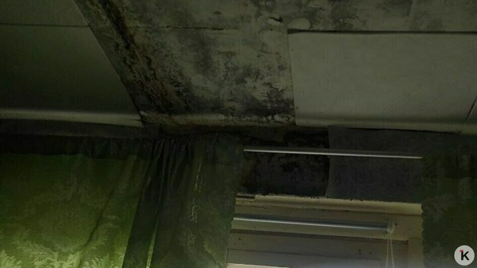 Три года под дождём: в Багратионовском округе не могут починить крышу пятиэтажки после урагана (фото)   - Новости Калининграда | Фото: Татьяна 