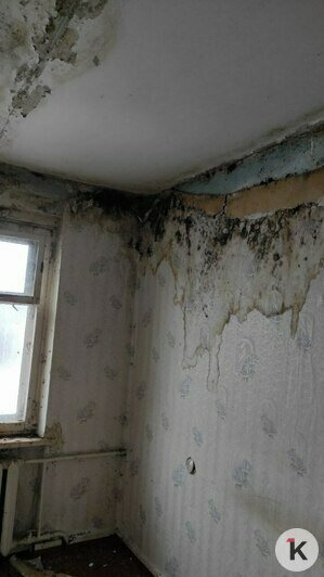 В таких условиях люди вынуждены жить годами | Фото: Татьяна 