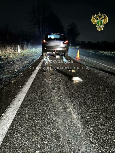 Место ДТП | Фото: Прокуратура Калининградской области
