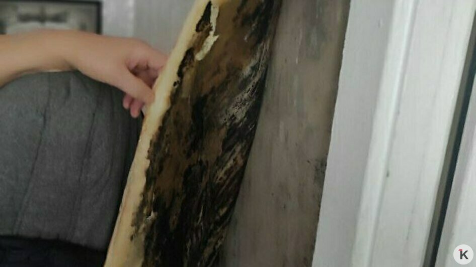 Три года под дождём: в Багратионовском округе не могут починить крышу пятиэтажки после урагана (фото)   - Новости Калининграда | Фото: Татьяна 