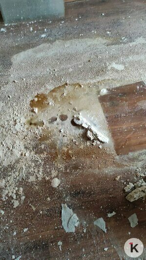 Три года под дождём: в Багратионовском округе не могут починить крышу пятиэтажки после урагана (фото)   - Новости Калининграда | Фото: Татьяна 