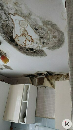 В таких условиях люди вынуждены жить годами | Фото: Татьяна 