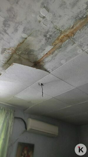 Три года под дождём: в Багратионовском округе не могут починить крышу пятиэтажки после урагана (фото)   - Новости Калининграда | Фото: Татьяна 