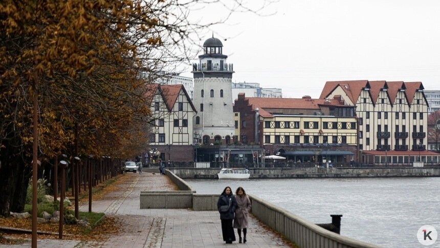 Вильфанд объяснил, почему в европейской части России стоит тёплая погода в декабре - Новости Калининграда | Фото: Александр Подгорчук / «Клопс»