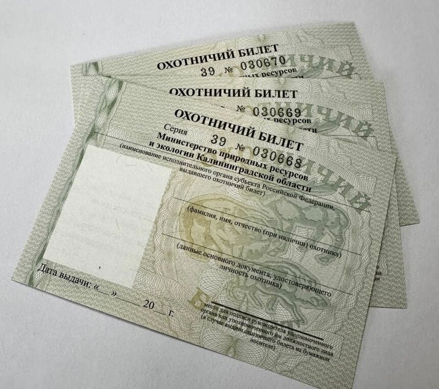 Охотничий билет без экзамена не выдадут | Фото: сайт министерства природных ресурсов и экологии Калининградской области