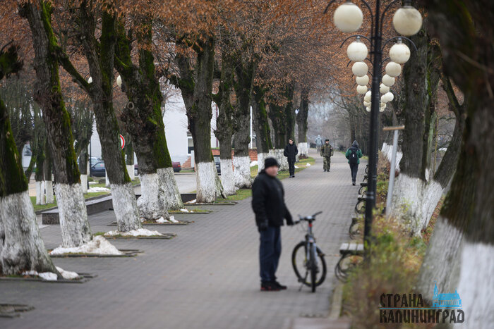 Гусев. Повседневность в кадре | Фото: Александр Мелехов