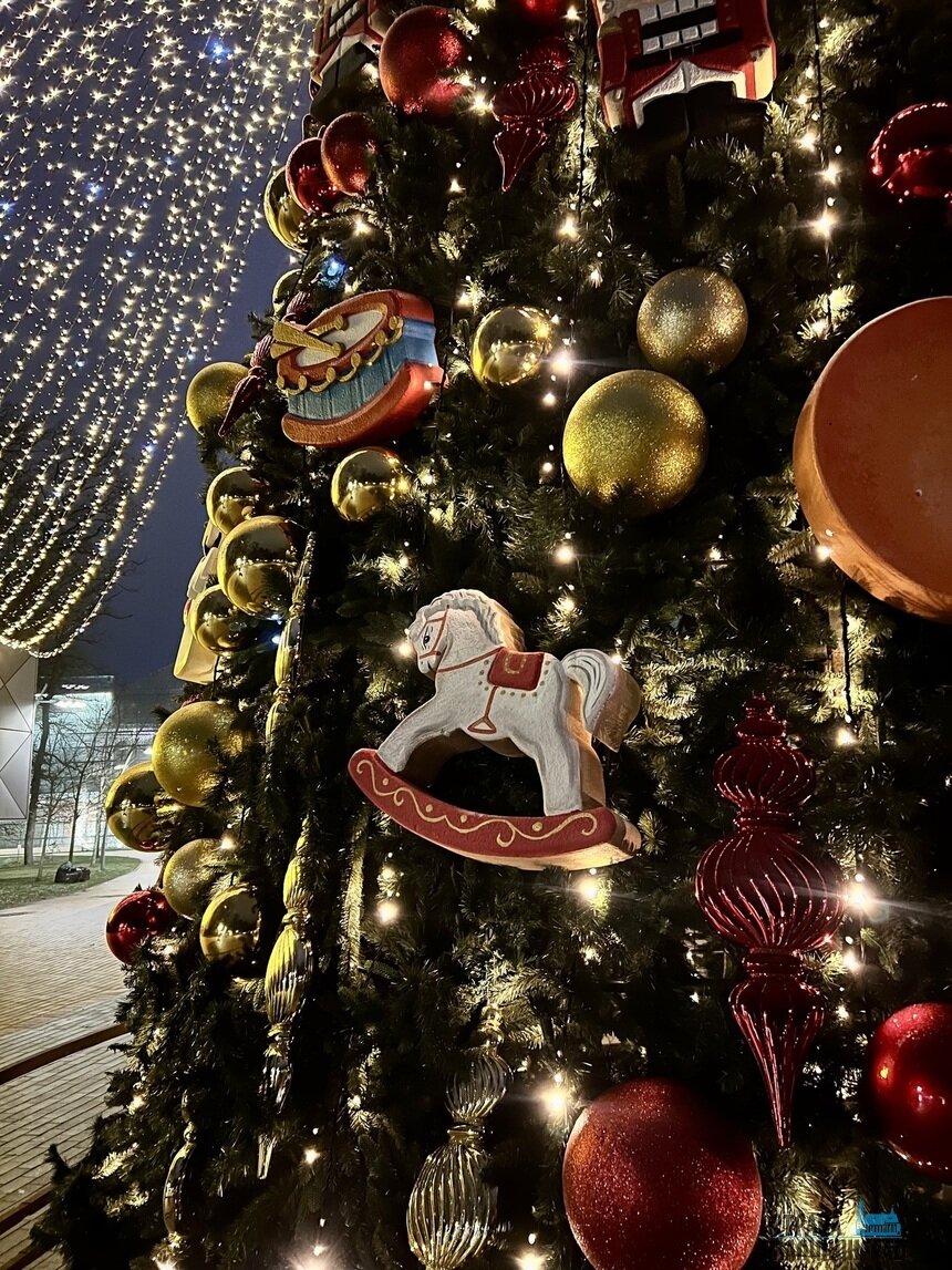 На праздники в Калининград приедет больше гостей, чем год назад | Фото: Оксана Сазонова