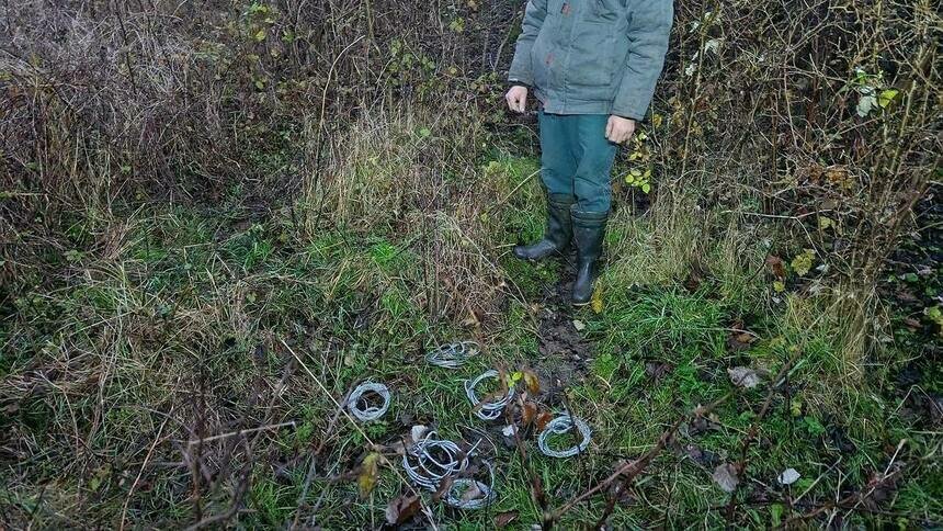 Захотел попробовать дичь: на Куршской косе задержали браконьера, который планировал расставить петли на животных - Новости Калининграда | Фото: пресс-служба национального парка «Куршская коса»