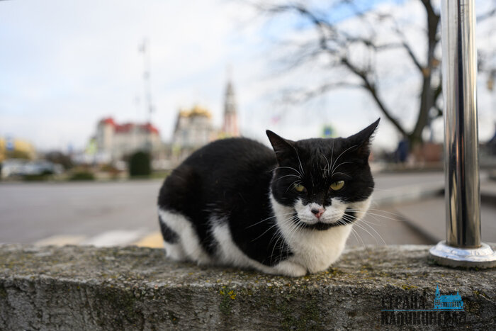 Гусев. Повседневность в кадре | Фото: Александр Мелехов