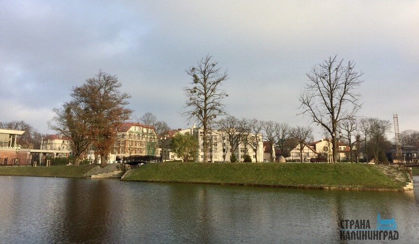 Погода в декабре стоит осенняя | Фото: Оксана Сазонова