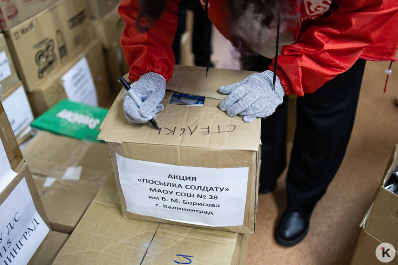 Калининградцы за месяц собрали более 1 200 посылок бойцам СВО (фоторепортаж) - Новости Калининграда | Фото: Александр Подгорчук / «Клопс»