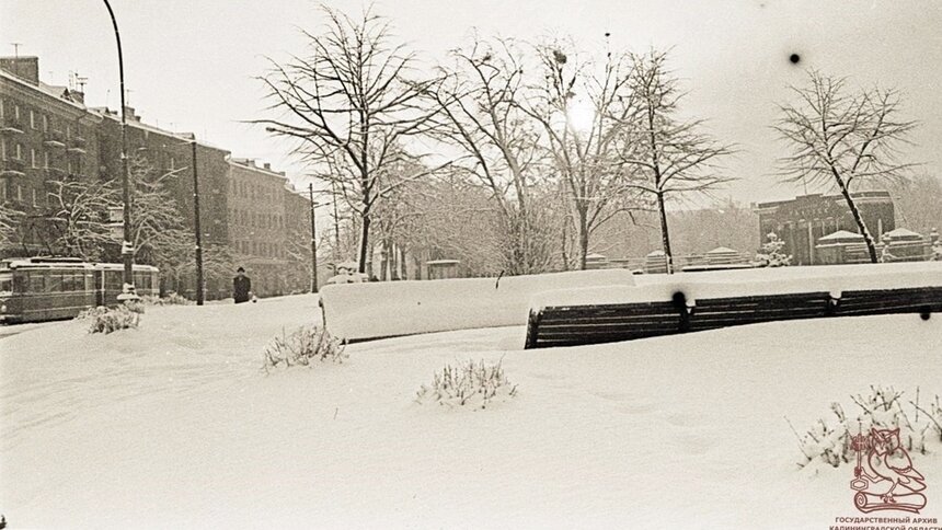 В госархиве показали, как на Калининград обрушился снег в 1960-е годы - Новости Калининграда | Фото: госархив
