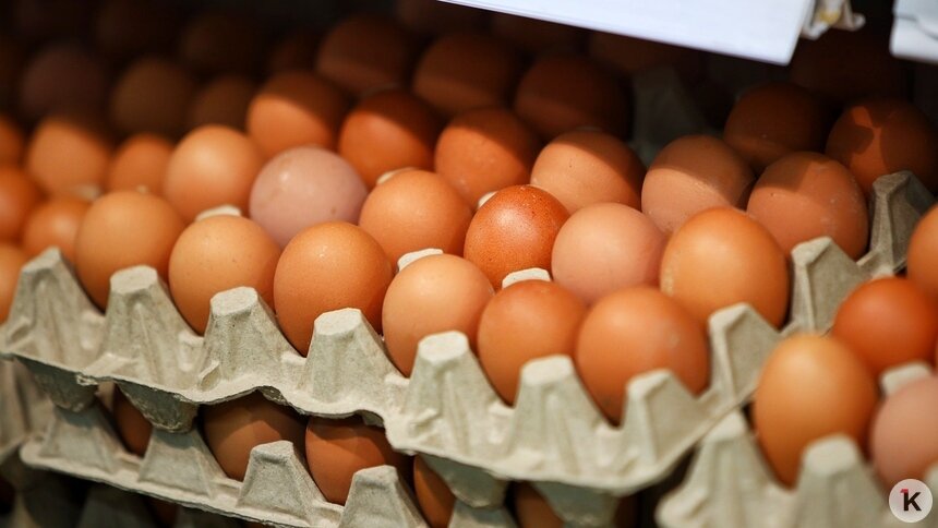 Калининградская область приближается к полной самообеспеченности молоком и яйцами — власти - Новости Калининграда | Фото: Александр Подгорчук / Архив «Клопс»