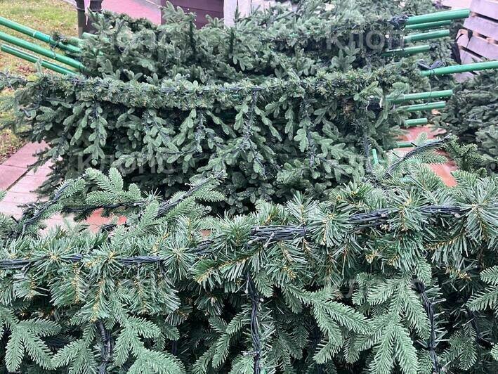 В центре Калининграда устанавливают новую ёлку со встроенной иллюминацией (фото, видео) - Новости Калининграда | Фото: «Клопс»